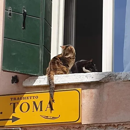 Daire Homesweethome *