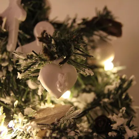 Homesweethome Apartman Velence