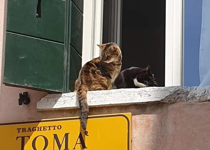 Διαμέρισμα Homesweethome *