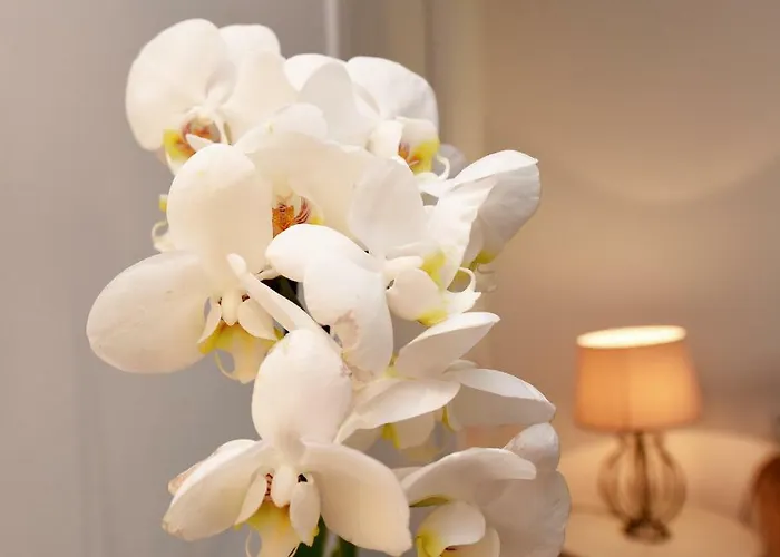 公寓 Homesweethome 威尼斯